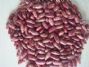 purple speckled kidney beans